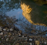 Abercrombie Karst Conservation Reserve - Hotel Gold Coast