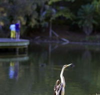 Birdwatching in the South Burnett - Hotel Gold Coast