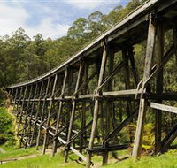 Noojee Trestle Bridge - Hotel Gold Coast