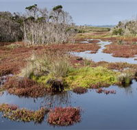 French Island National Park - Hotel Gold Coast
