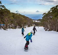 Mt Baw Baw Alpine Resort - Hotel Gold Coast