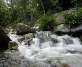 Washpool National Park - Hotel Gold Coast 0