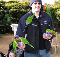 Canberra Walk In Aviary - Hotel Gold Coast