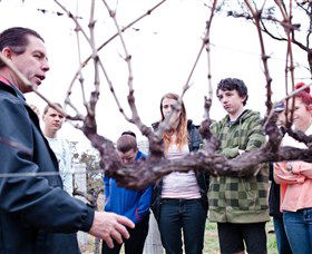 Varias Restaurant And Conference Centre Incorporating Banca Ridge Winery Cellar Door - Hotel Gold Coast 3