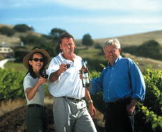 Book The Pocket NSW Attractions Hotel Gold Coast Hotel Gold Coast