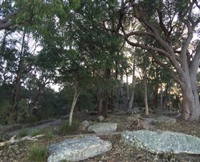 Go Beyond Tours - Hotel Gold Coast 7