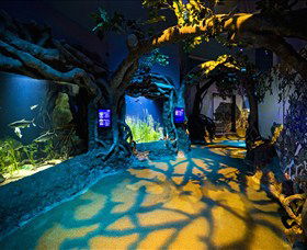 SEA LIFE Sydney Aquarium - Hotel Gold Coast 2