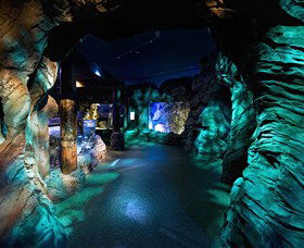SEA LIFE Sydney Aquarium - Hotel Gold Coast 3
