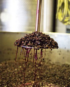 Quealy Winemakers - Hotel Gold Coast 6