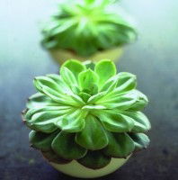 Crossroads Homemaker Centre - Hotel Gold Coast 1