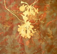 Fellia Melas Gallery - Hotel Gold Coast