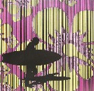 Iain Dawson Gallery - Hotel Gold Coast 2