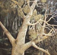 Ku-Ring-Gai Art Centre  Gallery - Hotel Gold Coast