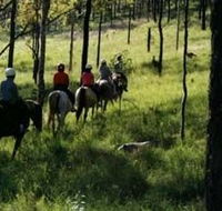 Hunter Valley Horse Riding and Adventures - Hotel Gold Coast