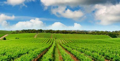 Sydney Weekend Adventures - Hotel Gold Coast 2