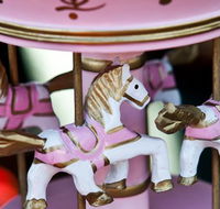 Newcastle City Farmers Markets - Hotel Gold Coast