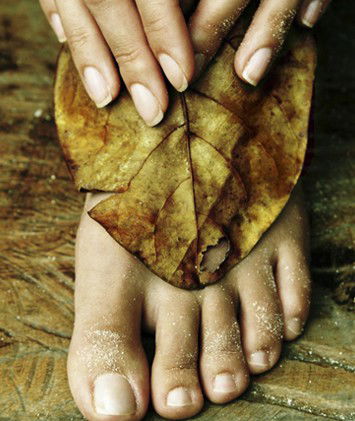 Royal Day Spa - Hotel Gold Coast 7