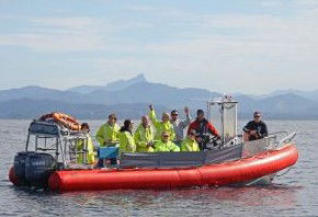 Byron Bay Whale Watching - Hotel Gold Coast 2