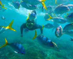 G Adventures - Hotel Gold Coast 0