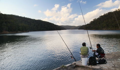 D'Albora Marinas At Akuna Bay - Hotel Gold Coast 3