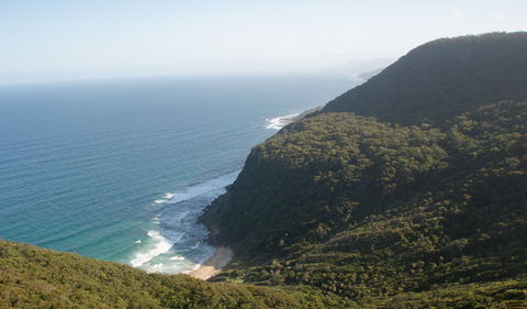 Palm Jungle Loop Track - Hotel Gold Coast 1