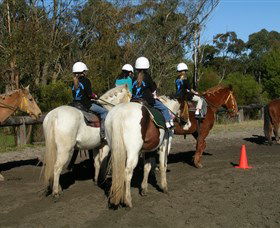 Darkes Forest Riding Ranch - Hotel Gold Coast 0