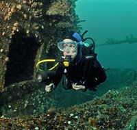 Ex-Hmas Adelaide Dive Site - Hotel Gold Coast