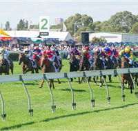 Morphettville Racecourse - Hotel Gold Coast