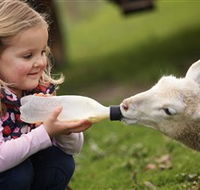 Hahndorf Farm Barn - Hotel Gold Coast