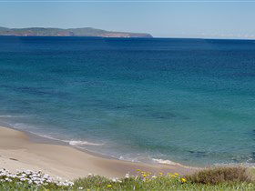 Carrickalinga Beach - Hotel Gold Coast 1