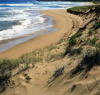 Newland Head Conservation Park - Hotel Gold Coast