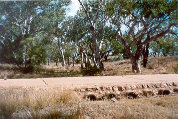 Charleville - Ward River Fishing Spot - Hotel Gold Coast 1