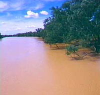 Warrego River - Hotel Gold Coast