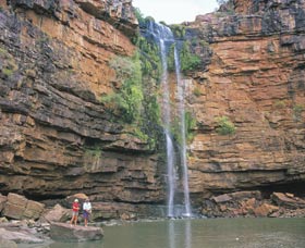 Prince Regent Nature Reserve - Hotel Gold Coast 3