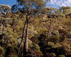 Ka Ka Mundi, Carnarvon National Park - Hotel Gold Coast 0
