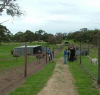 Avenue Emus - Hotel Gold Coast