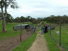 Avenue Emus - Hotel Gold Coast 0