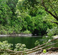 Broadwater Abergowrie State Forest - Hotel Gold Coast