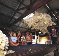 Shear Outback the Australian Shearers Hall of Fame - Hotel Gold Coast