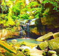 Carnarvon Gorge Carnarvon National Park - Hotel Gold Coast