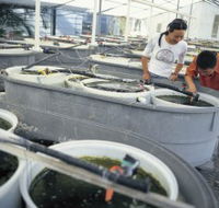 James Cook University of North Queensland - Hotel Gold Coast