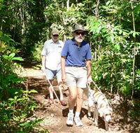 Wongabel State Forest - Hotel Gold Coast