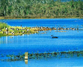 Hasties Swamp National Park - Hotel Gold Coast 0