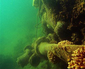 Wreck Diving At Magnetic Island - Hotel Gold Coast 0