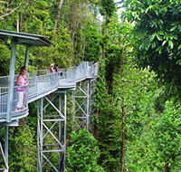 Mamu Tropical Skywalk - Hotel Gold Coast