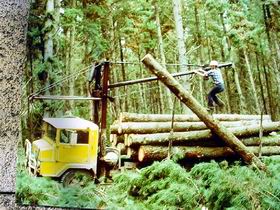 Nangwarry Forestry And Logging Museum - Hotel Gold Coast 3