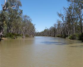 Wetlander Cruises - Hotel Gold Coast 3