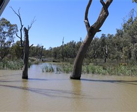 Wetlander Cruises - Hotel Gold Coast 4
