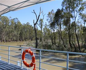 Wetlander Cruises - Hotel Gold Coast 6