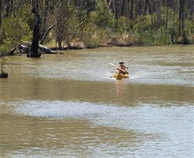 Wetlander Cruises - Hotel Gold Coast 5
